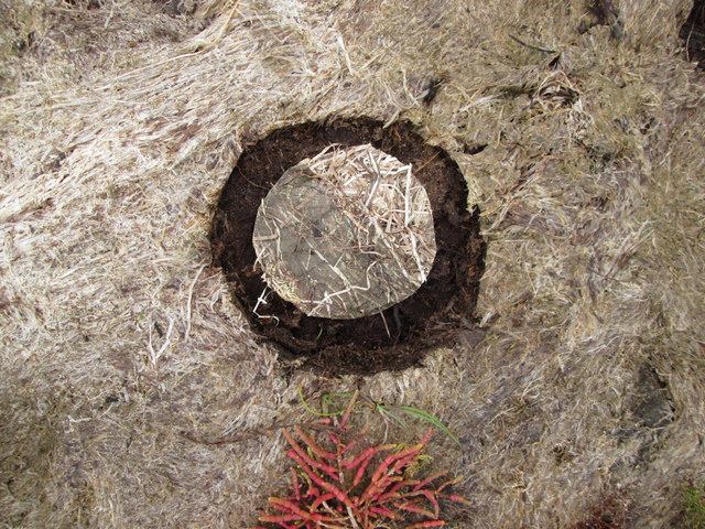 Circles for Soliloquy - documentation of land art created by Annie le Roux