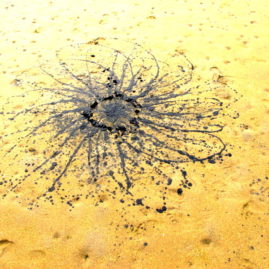 Mud flower on sand by Annie Le Roux - land art on the beach