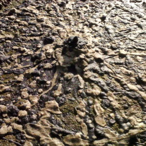 Sand en See 6, Annie le Roux, documentation of land art