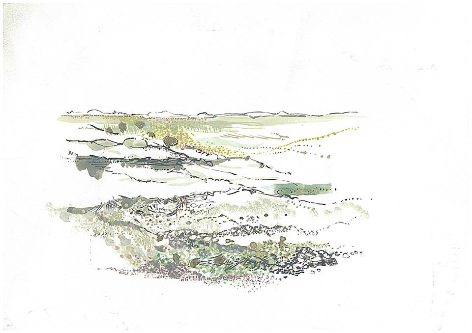 Stylized landscape illustration of the Tankwa karoo landscape, by Annie le Roux