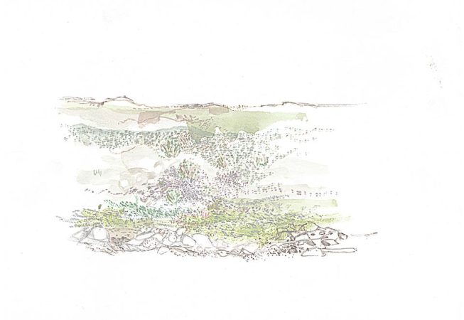 Tankwa Landscape II, Annie le Roux