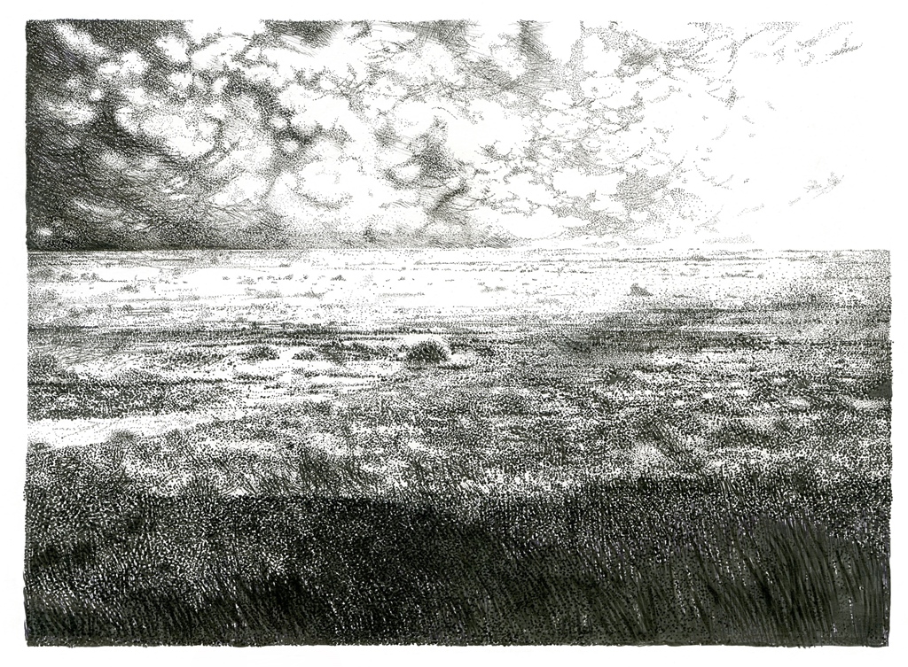 landskap_met_reen_oor_die_vlakte