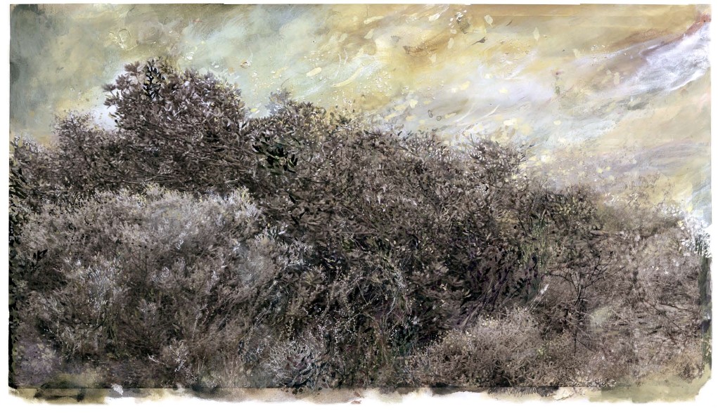 Fynbos Wind, Ink and Oil on paper