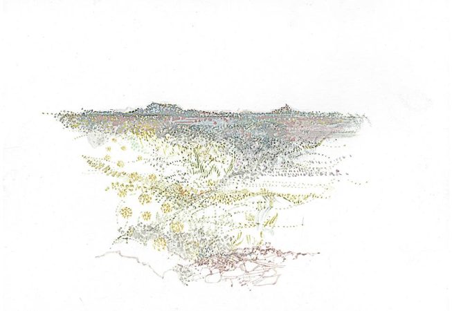 Tankwa Landscape III, Annie le Roux