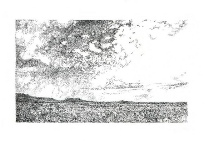 TANKWA KAROO III, Annie le Roux, Ink on paper, 2016